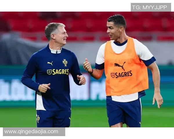 西班牙国家足球队重塑辉煌之路：世界杯预选赛的挑战与机遇